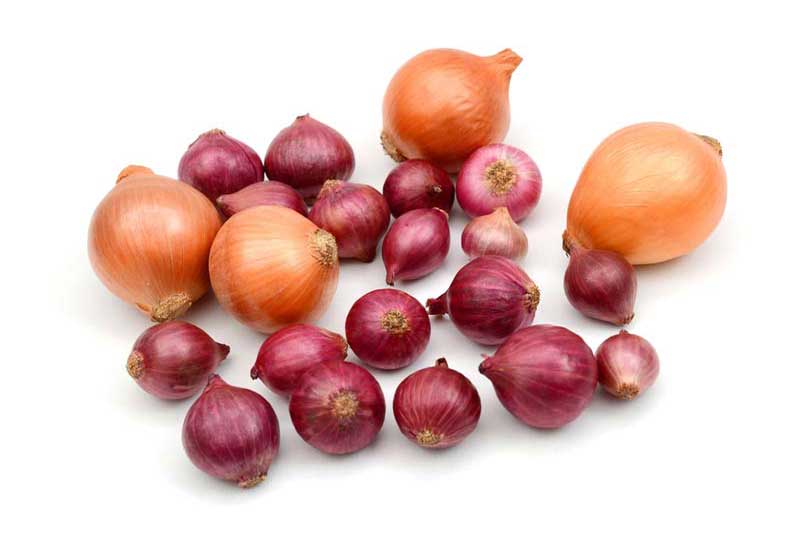 onions