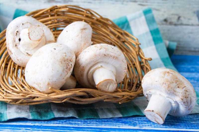Button Mushrooms