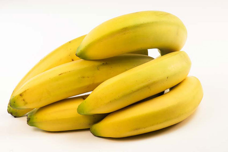 Bunch of bananas