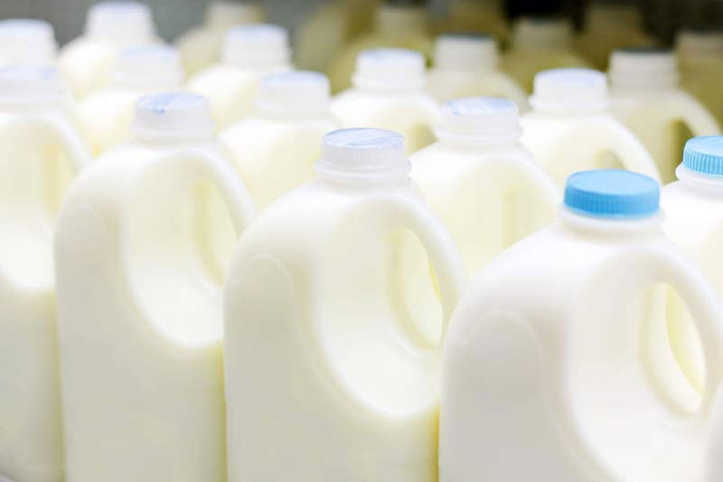 Dairy milk and diabetes