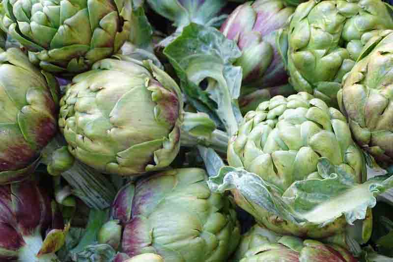 artichoke