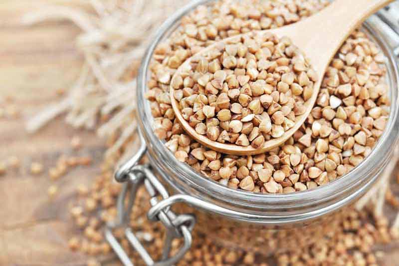 buckwheat