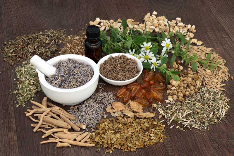 Science-Backed Herbal Remedies For Diabetes And Prediabetes