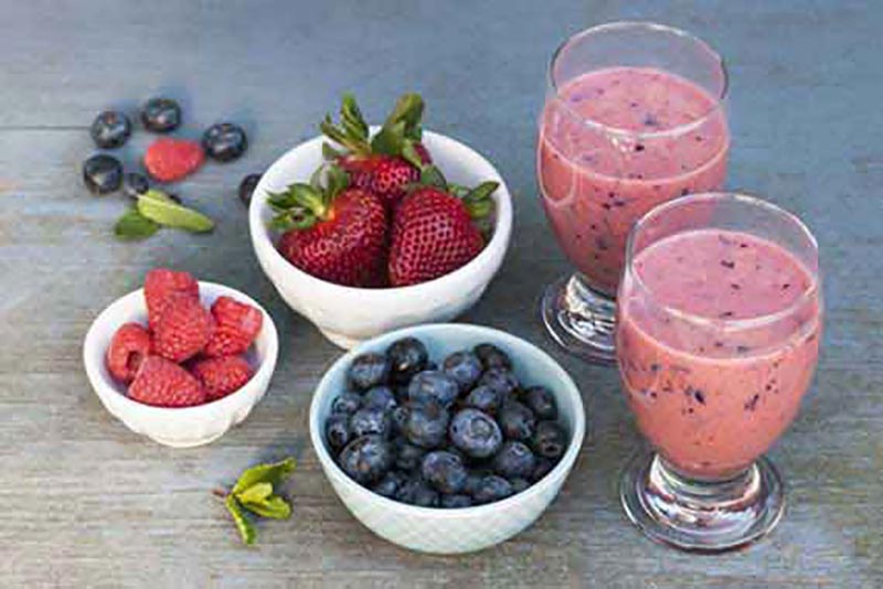 Low carb Diabetic Breakfast Smoothie
