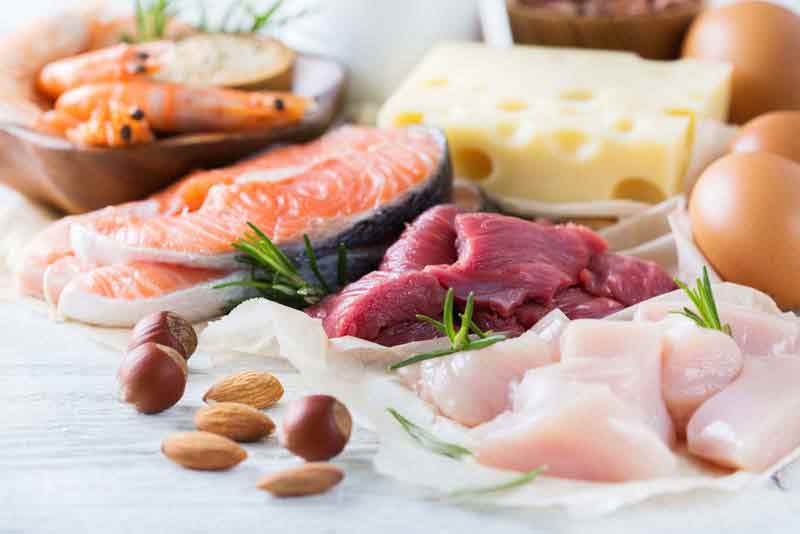 Protein sources