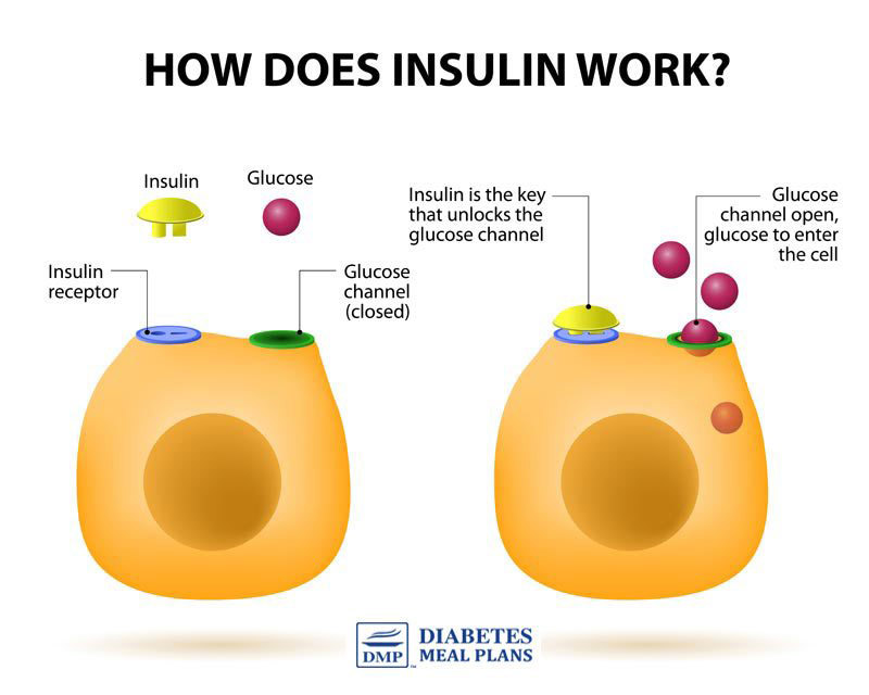 Newly Diagnosed Type 2 Diabetes: Where to Start