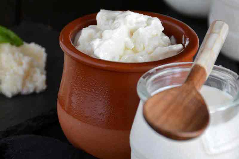 Milk Kefir