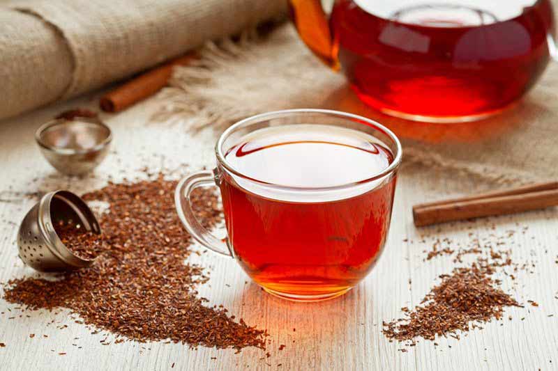 Rooibus tea