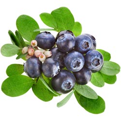 Blueberries