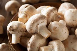 White-Button-Mushrooms