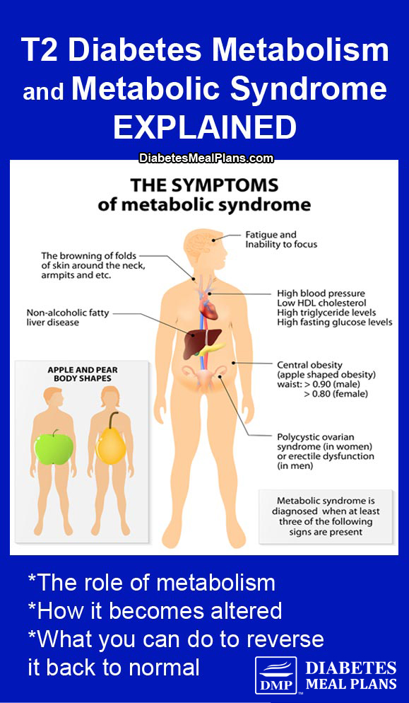 Metabolism and Metabolic Syndrome Explained