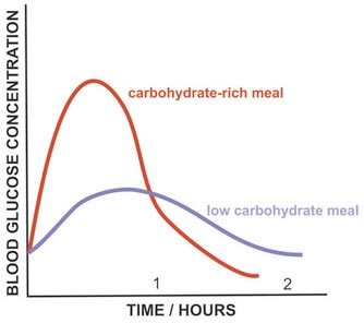 carb-vs-low-carb